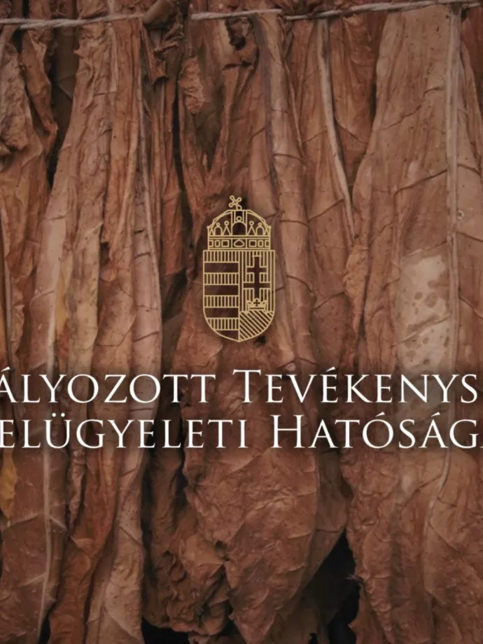 A kormány elvenné az SZTFH elnökének rendeletalkotási jogát