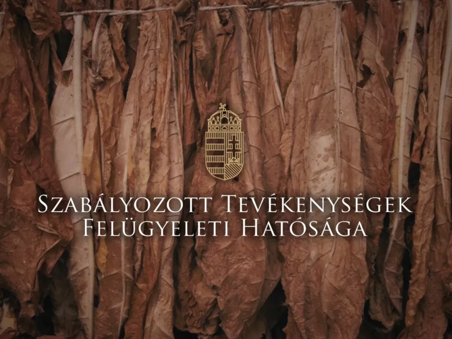 A kormány elvenné az SZTFH elnökének rendeletalkotási jogát