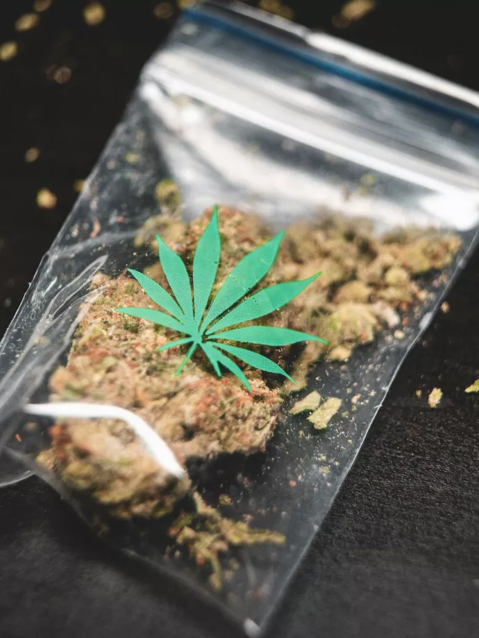 Többen füveznek az USA-ban, mint ahányan dohányoznak