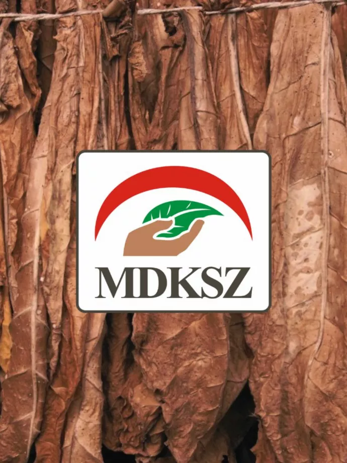 „Elégedetlenség forrása lehet” – reagált az MDKSZ a dohánykoncessziók átalakítására