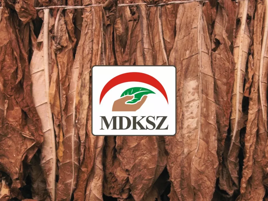 „Elégedetlenség forrása lehet” – reagált az MDKSZ a dohánykoncessziók átalakítására