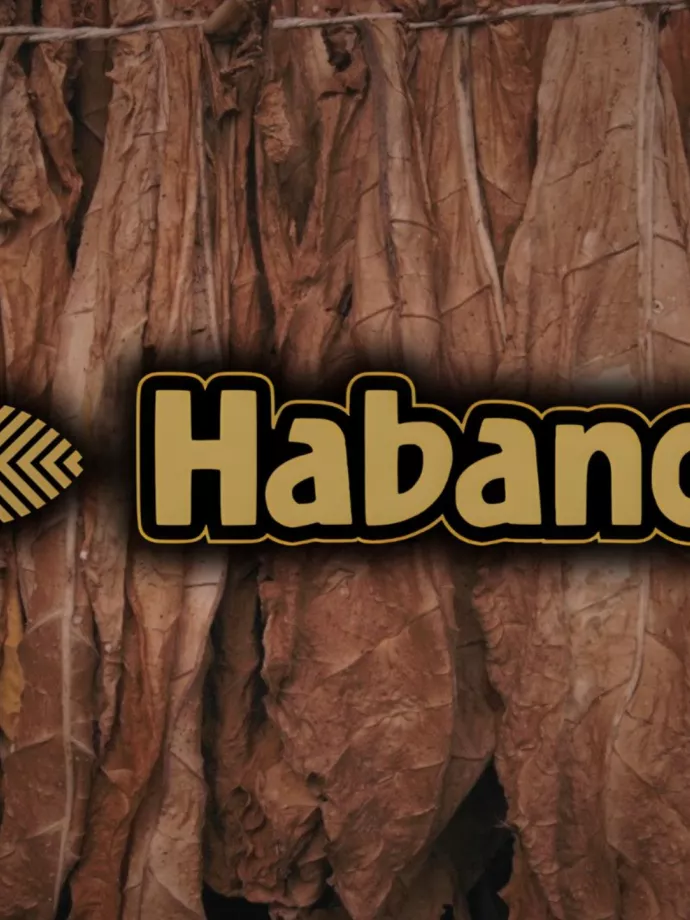 Új kereskedelmi alelnök a Habanosnál