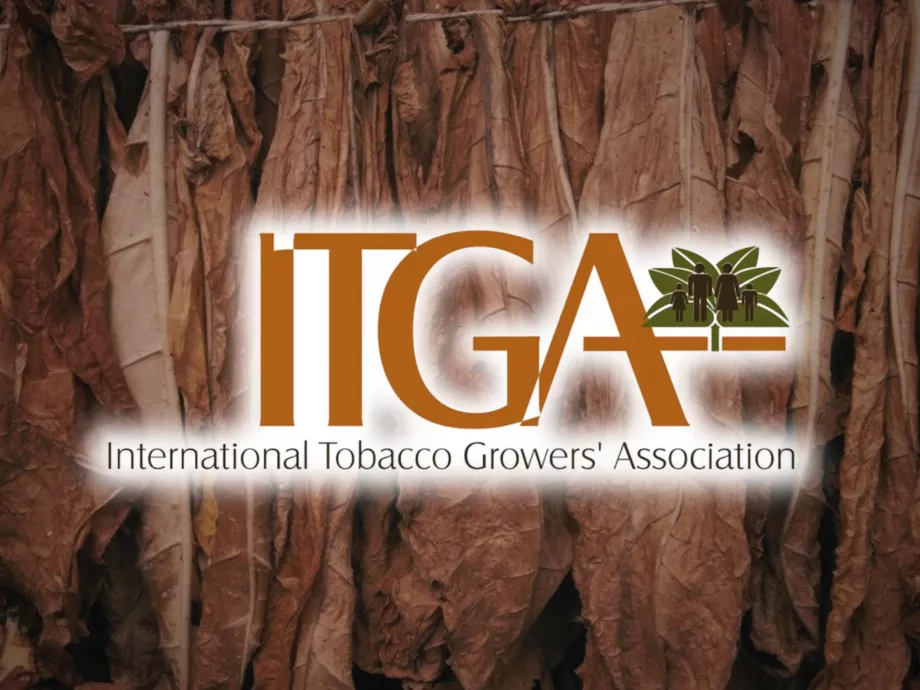 Visszatér Észak-Macedóniába az Oriental Tobacco Forum