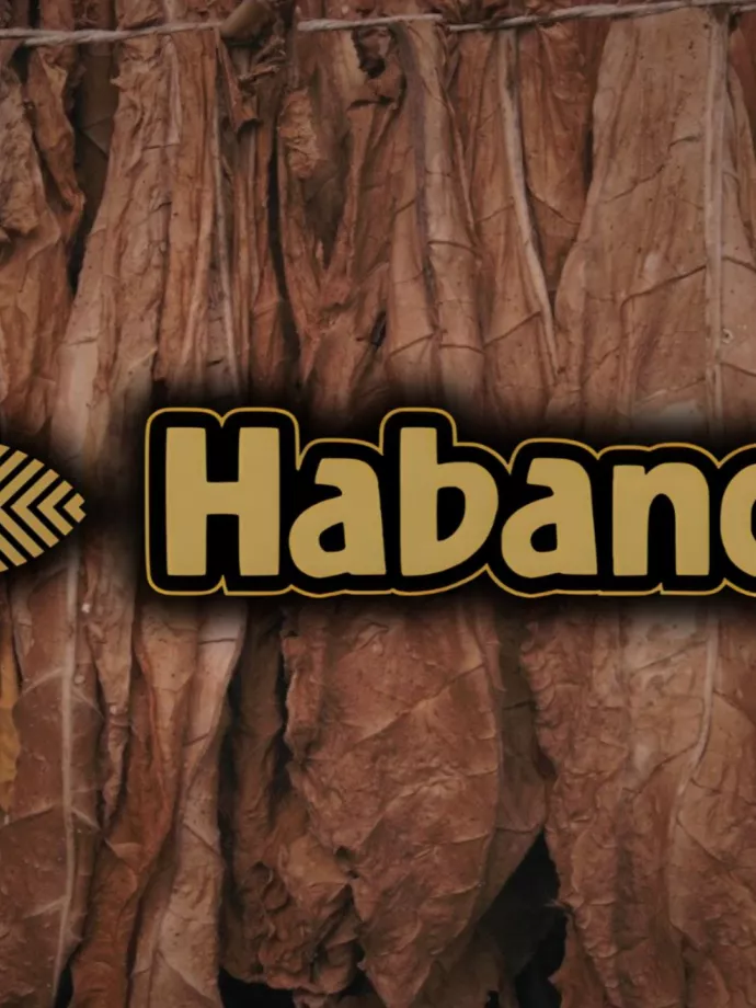 Elindult a Habanos egyik legismertebb márkájának 60. évfordulós programsorozata