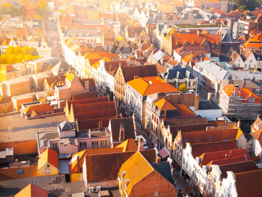 Csővezetékben szállítják a sört Belgiumban