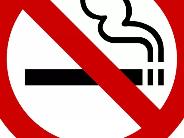 Kutya szagolta ki a csempészcigit Zalában